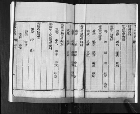 山东蓝氏-蓝氏族谱.pdf电子版预览图4