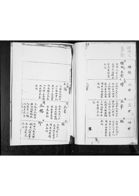 山东蓝氏-蓝氏族谱.pdf电子版预览图5