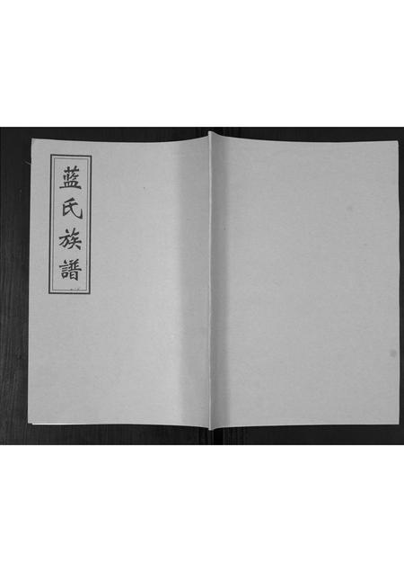 山东蓝氏-蓝氏族谱.pdf电子版缩略图