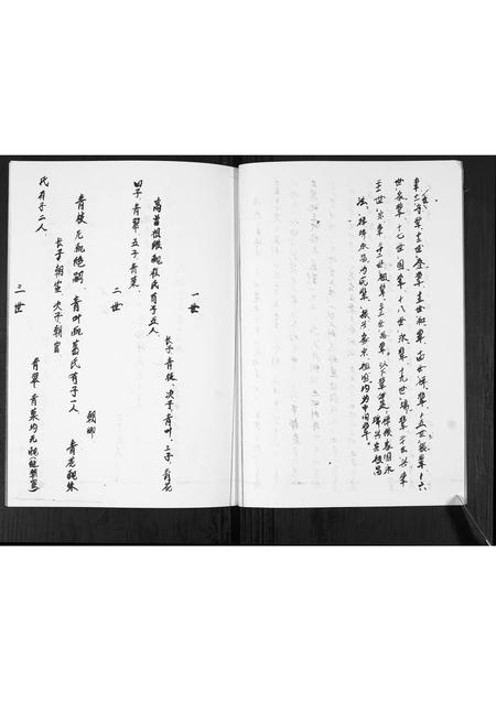 山东蓝氏-蓝氏族谱.pdf电子版预览图2