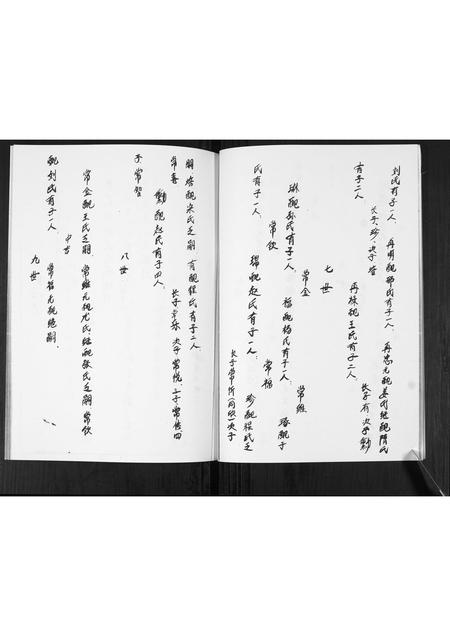 山东蓝氏-蓝氏族谱.pdf电子版预览图4