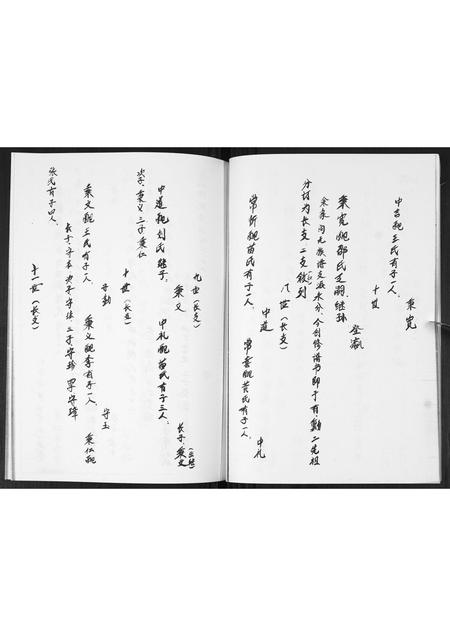 山东蓝氏-蓝氏族谱.pdf电子版预览图5