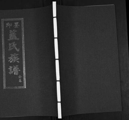 山东蓝氏-蓝氏族谱.pdf电子版缩略图