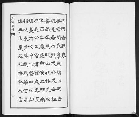 山东蓝氏-蓝氏族谱.pdf电子版预览图2