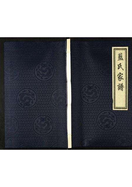 河北蓝氏-蓝氏家谱.pdf电子版缩略图