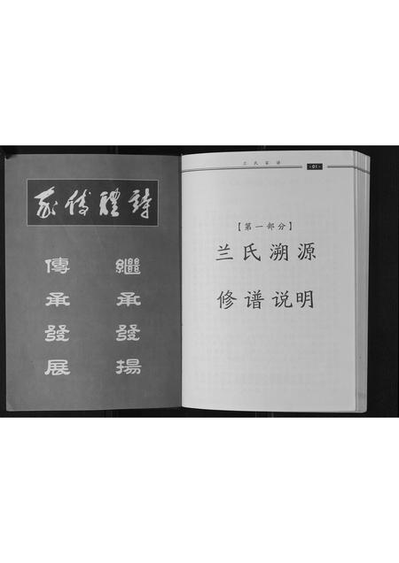 山东兰氏-兰氏家谱.pdf电子版预览图2