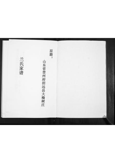 河北兰氏-兰氏家谱[不分卷].pdf电子版预览图2