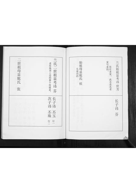 河北兰氏-兰氏家谱[不分卷].pdf电子版预览图4