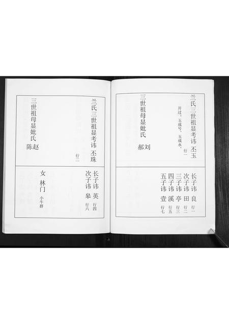 河北兰氏-兰氏家谱[不分卷].pdf电子版预览图5