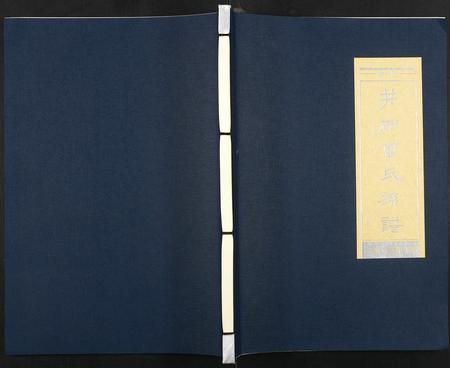 四川雷氏-井研雷氏族谱.pdf电子版缩略图