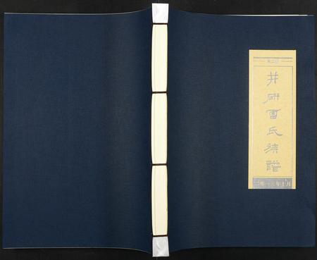 四川雷氏-井研雷氏族谱.pdf电子版预览图1