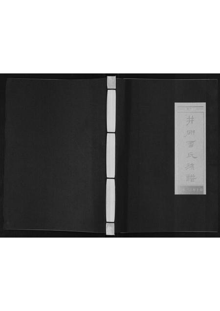 四川雷氏-井研雷氏族谱[不分卷].pdf电子版缩略图