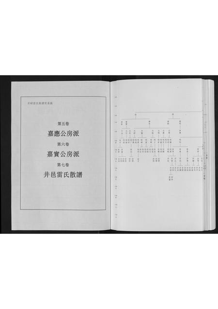 四川雷氏-井研雷氏族谱[不分卷].pdf电子版预览图1