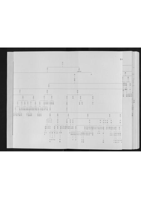 四川雷氏-井研雷氏族谱[不分卷].pdf电子版预览图2