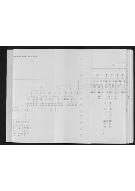 四川雷氏-井研雷氏族谱[不分卷].pdf电子版预览图3