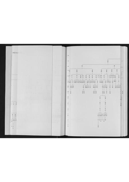 四川雷氏-井研雷氏族谱[不分卷].pdf电子版预览图4