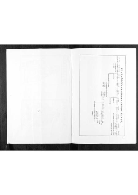 海南黎氏-黎氏族谱.pdf电子版预览图2