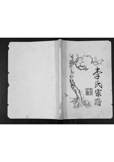 四川李氏-李氏宗谱[不分卷].pdf电子版缩略图