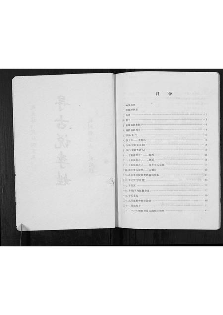 四川李氏-李氏宗谱[不分卷].pdf电子版预览图2