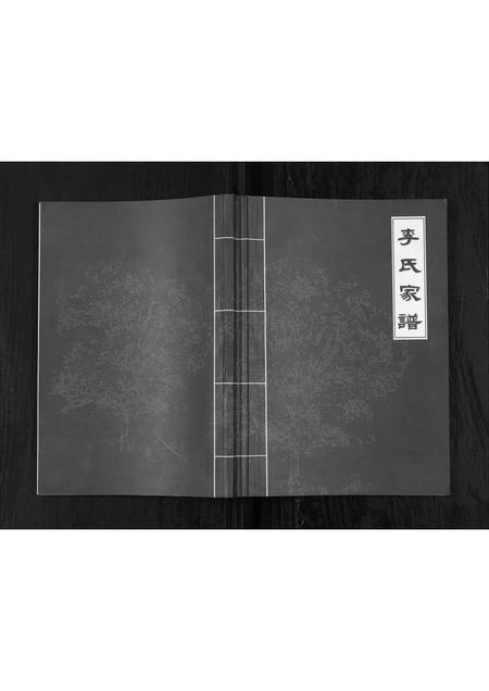 四川李氏-李氏家谱.pdf电子版缩略图