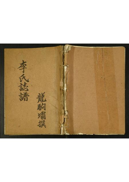 四川李氏-李氏志谱.pdf电子版缩略图