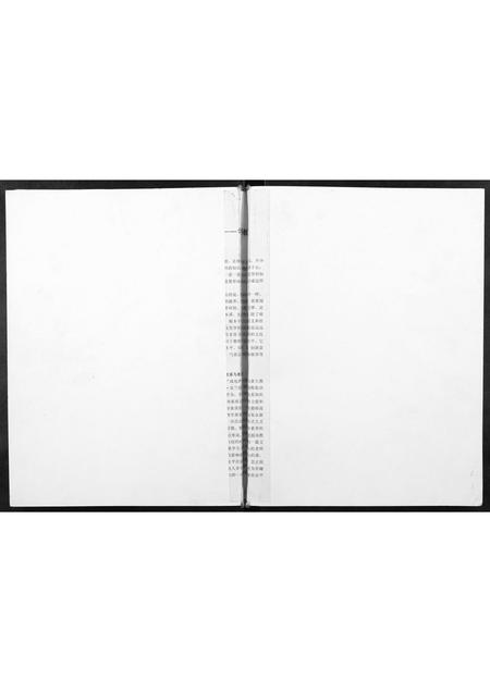 四川李氏-李氏族谱[不分卷].pdf电子版缩略图