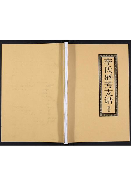 四川李氏-李氏盛芳支谱[5卷].pdf电子版缩略图