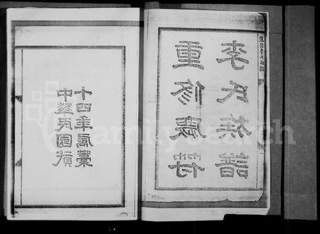 四川李氏-重修庆符李氏族谱(别名：庆符李氏族谱).pdf电子版预览图2