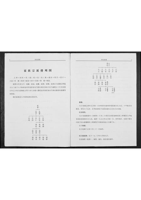 四川李氏-陇西仁和李氏家谱.pdf电子版预览图2