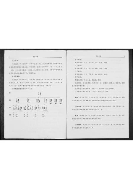 四川李氏-陇西仁和李氏家谱.pdf电子版预览图3