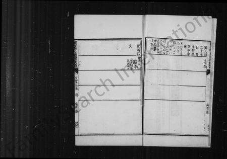 四川李氏-陇西李氏续修族谱 [8卷].pdf电子版预览图4