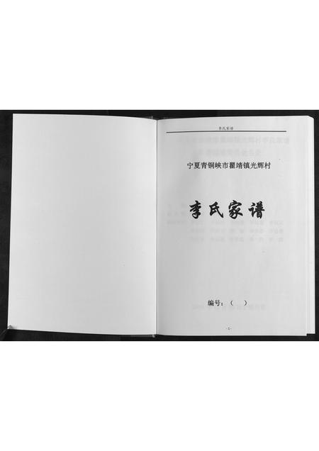 宁夏李氏-李氏家谱[不分卷].pdf电子版预览图1