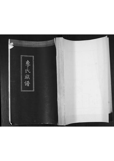 山东李氏-即墨李氏族谱.pdf电子版缩略图