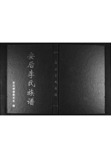 山东李氏-安后李氏族谱.pdf电子版缩略图