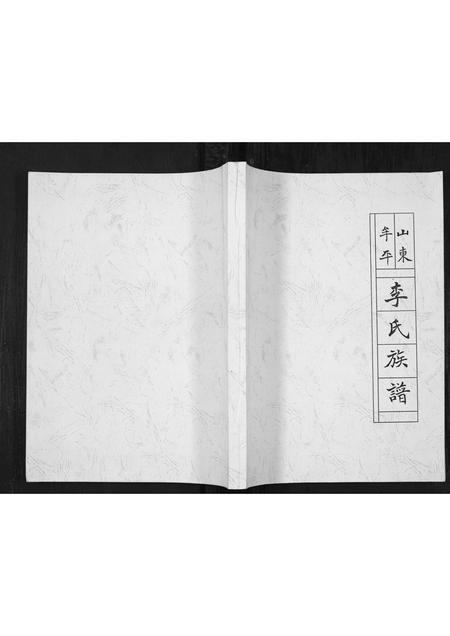 山东李氏-山东牟平李氏族谱[1册](别名：Shan Dong Mou Ping Li Shi Zu Pu).pdf电子版缩略图