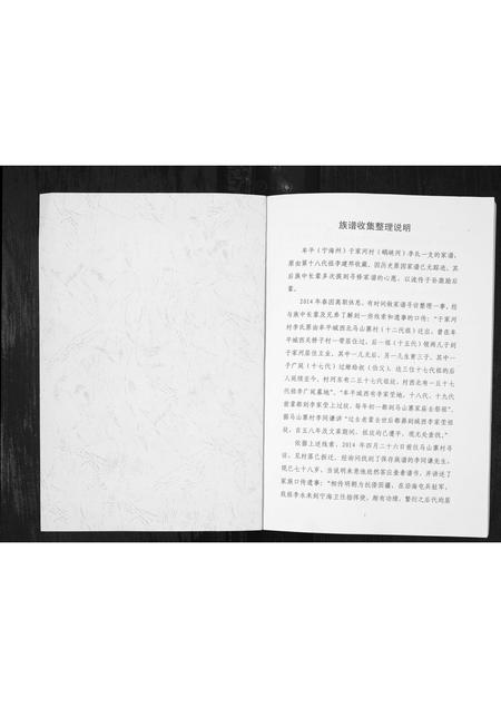 山东李氏-山东牟平李氏族谱[1册](别名：Shan Dong Mou Ping Li Shi Zu Pu).pdf电子版预览图1