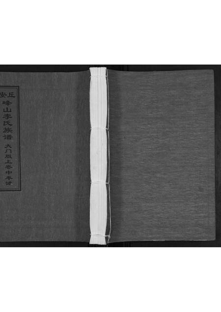 山东李氏-峰山李氏族谱[2卷].pdf电子版缩略图