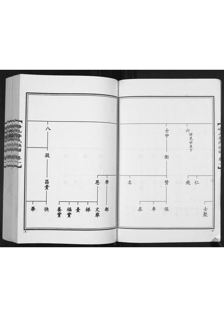 山东李氏-峰山李氏族谱[2卷].pdf电子版预览图4