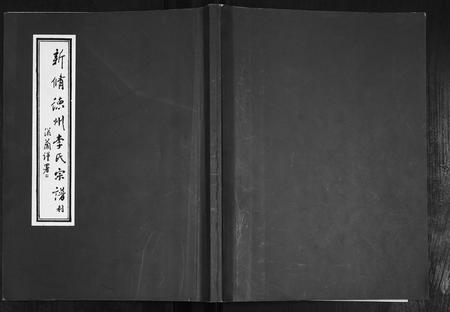 山东李氏-德州李氏宗谱.pdf电子版缩略图