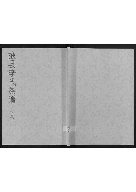 山东李氏-掖县李氏族谱[3集].pdf电子版缩略图