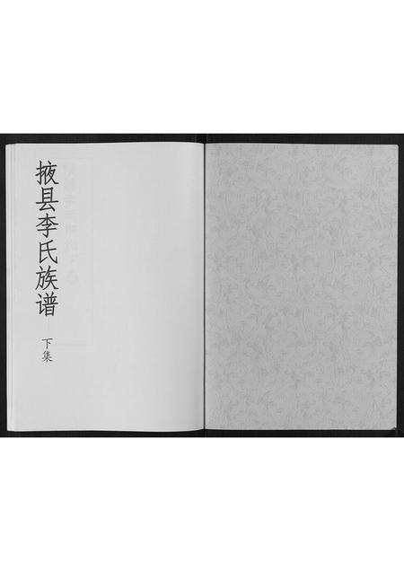 山东李氏-掖县李氏族谱[3集].pdf电子版预览图1