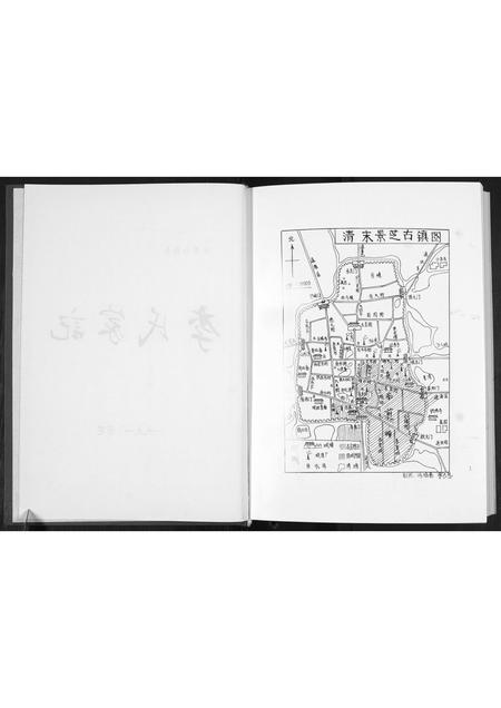 山东李氏-景芝东南前疃李氏家记[不分卷].pdf电子版预览图3