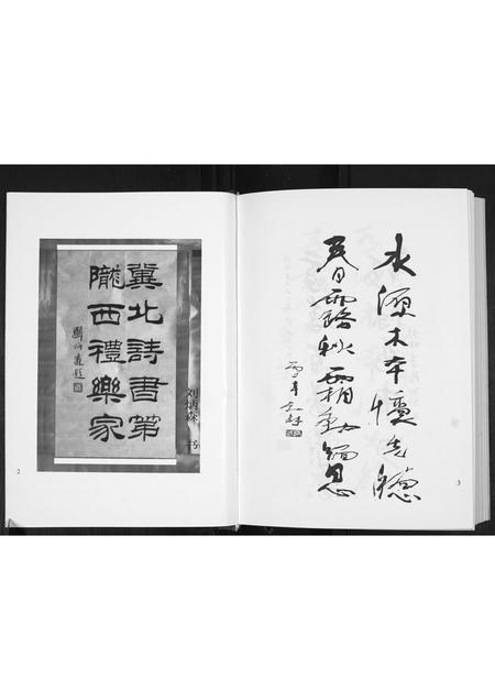 山东李氏-景芝东南前疃李氏家记[不分卷].pdf电子版预览图4