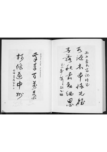 山东李氏-景芝东南前疃李氏家记[不分卷].pdf电子版预览图5