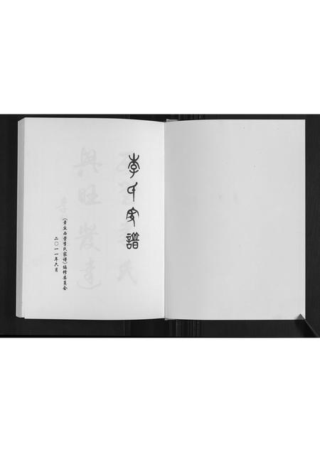 山东李氏-李氏宗谱.pdf电子版预览图1