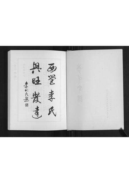 山东李氏-李氏宗谱.pdf电子版预览图2