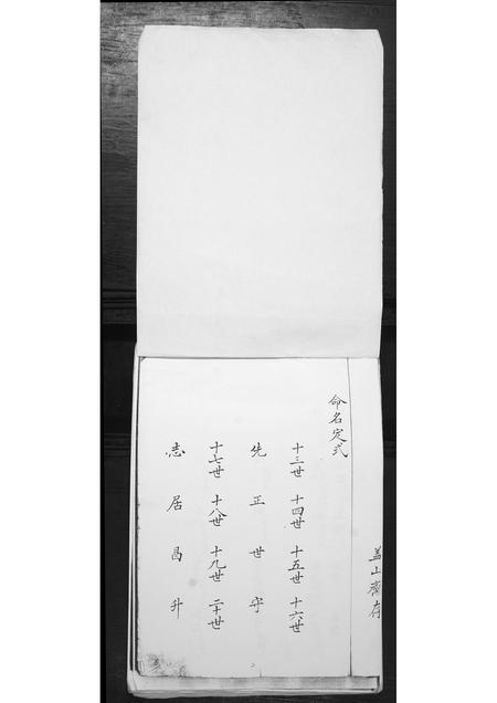 山东李氏-李氏家谱.pdf电子版预览图1