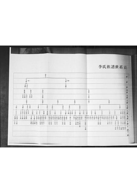 山东李氏-李氏家谱.pdf电子版预览图1