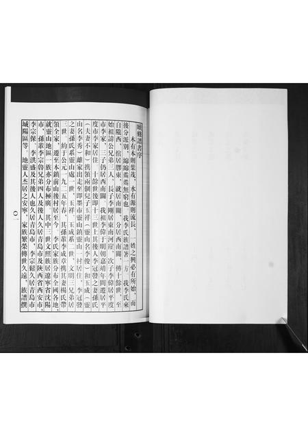 山东李氏-李氏家谱.pdf电子版预览图4