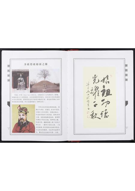 山东李氏-李氏家谱[不分卷].pdf电子版预览图5